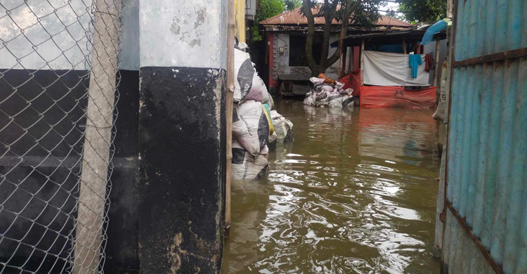 ভারী বৃষ্টিপাতে নাটোরের বাড়িঘরে হাঁটুপানি