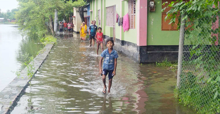 ভারী বৃষ্টিপাতে নাটোরের বাড়িঘরে হাঁটুপানি
