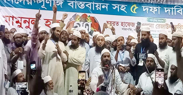 ইসলামি বিপ্লবের জন্য সময় ঘনিয়ে এসেছে: মামুনুল হক