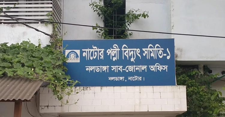 ব্যবহার না বাড়লেও দ্বিগুণ বিলের অভিযোগ পল্লী বিদ্যুৎ গ্রাহকদের