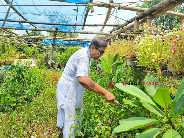 ১ টাকাও নেন না, ৪৫ বছর ধরে বিলিয়ে যাচ্ছেন গাছ