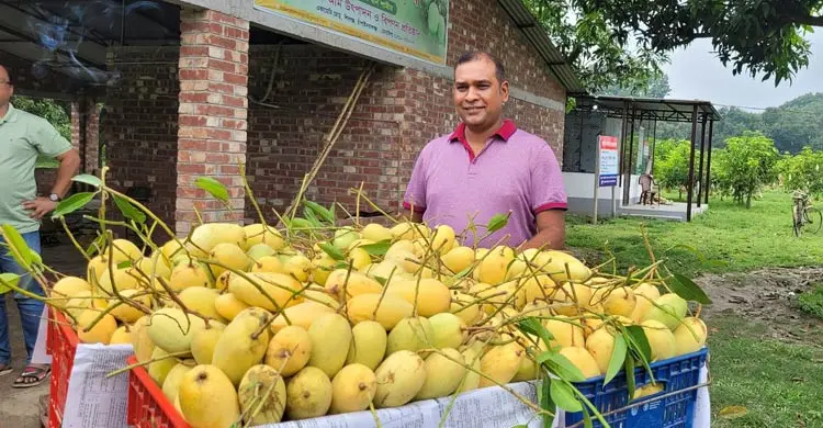 অনলাইনে বাড়ছে ফল বিক্রির জনপ্রিয়তা, বাড়ছে কর্মসংস্থান