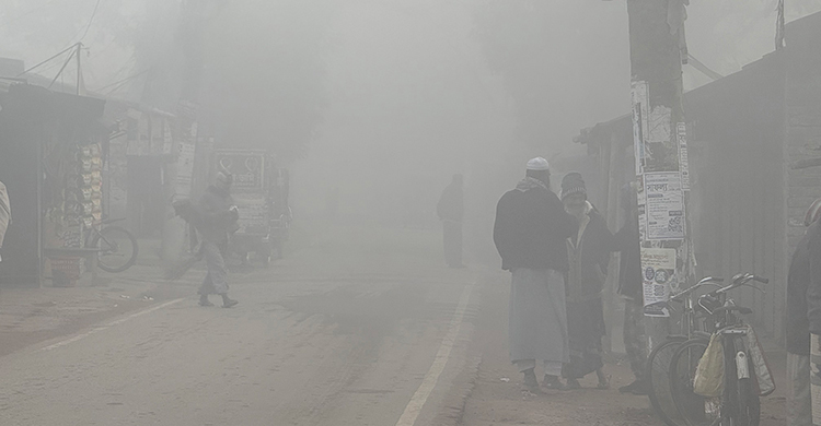মৃদু শৈত্যপ্রবাহের কবলে নওগাঁ, তাপমাত্রা ৯ ডিগ্রি