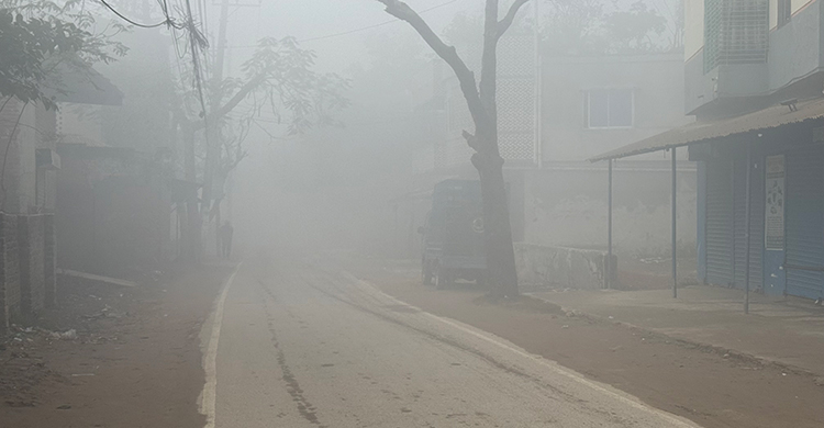 মৃদু শৈত্যপ্রবাহের কবলে নওগাঁ, তাপমাত্রা ৯ ডিগ্রি