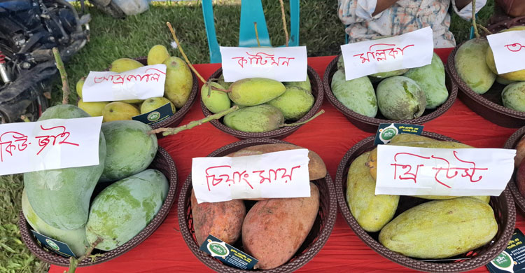 নওগাঁয় দুই দিনব্যাপী ম্যাংগো ফেস্টিভ্যাল