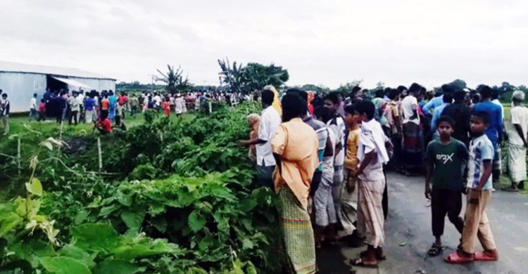নেত্রকোনায় ২ মরদেহ উদ্ধার