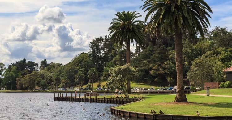 নিউজিল্যান্ডের ‘গোল্ডেন ভিসা’ পেতে মরিয়া কেন বিশ্বের ধনীরা?