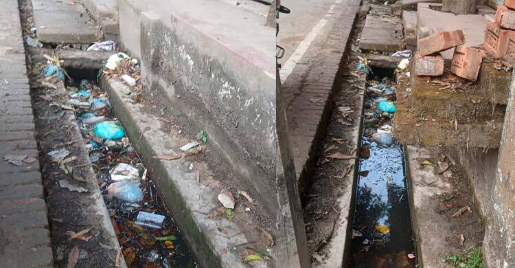 মশায় অতিষ্ঠ পৌরবাসী, ৮ লাখ টাকা বরাদ্দ থাকলেও সুফল নেই