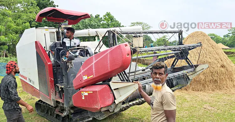 হাওরে জলাবদ্ধতায় ভরা মৌসুমেও সংকটে কৃষক
