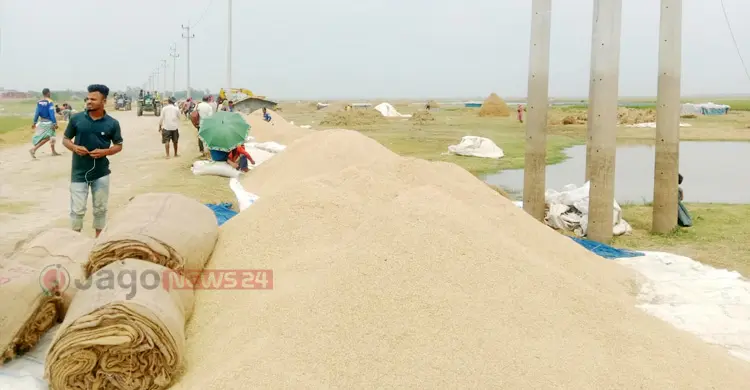 হাওরে কৃষকের নতুন জুলুম ৪৫ কেজির ধানের মণ!