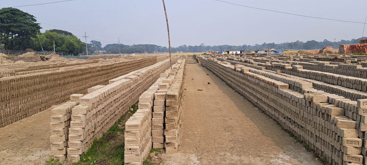 নেত্রকোনায় ৩৯ ইটভাটার ৩৩টিই অবৈধ