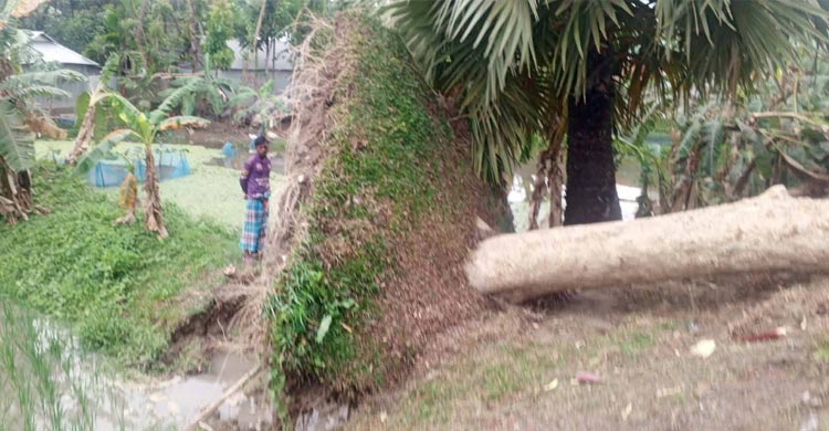 নেত্রকোনায় শিলাবৃষ্টি-ঝড়ে লন্ডভন্ড ঘরবাড়ি