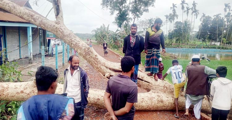 নেত্রকোনায় শিলাবৃষ্টি-ঝড়ে লন্ডভন্ড ঘরবাড়ি