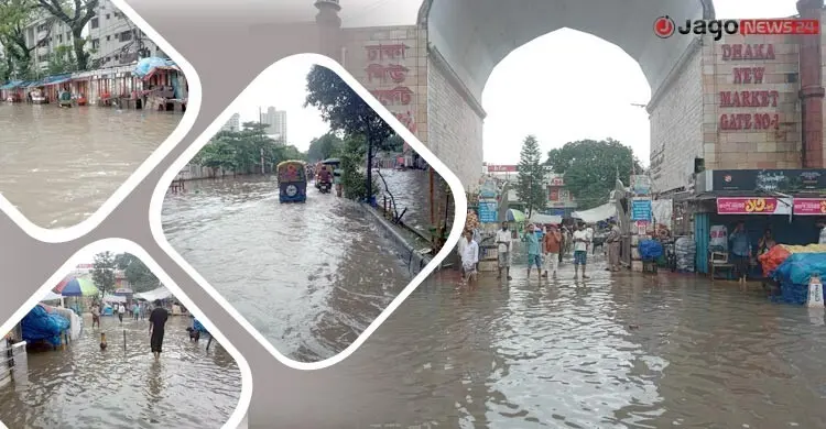 সামান্য বৃষ্টিতেই ডোবে নিউমার্কেট, ভোগান্তির শেষ কোথায়?