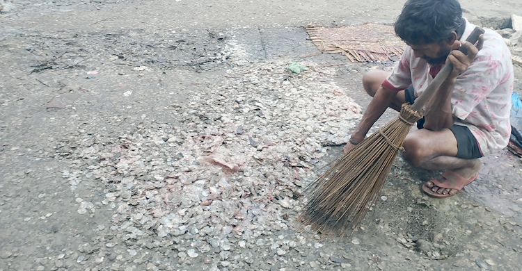 মাছের আঁশ বিক্রি করে ফয়সালের বছরে আয় ৭ লাখ