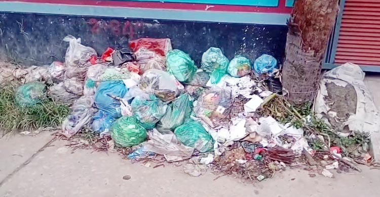 তারাবো পৌরসভায় ১২ দিন ধরে ময়লা নেওয়া বন্ধ, দুর্ভোগে বাসিন্দারা
