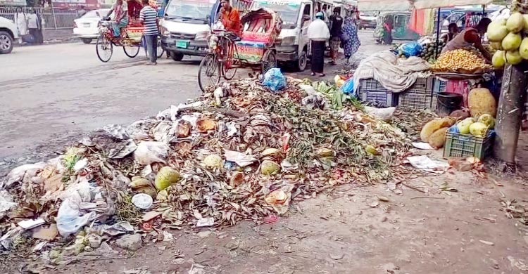 তারাবো পৌরসভায় ১২ দিন ধরে ময়লা নেওয়া বন্ধ, দুর্ভোগে বাসিন্দারা