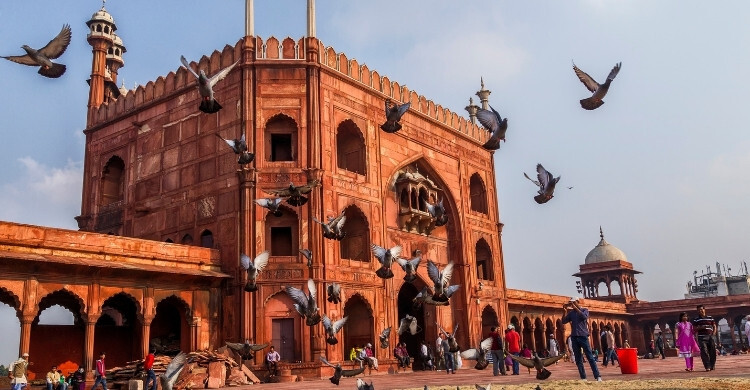 সুন্দর আচরণের প্রতিদান জান্নাত