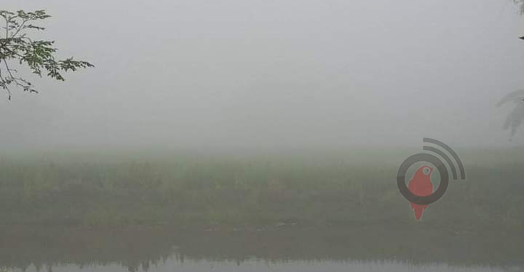 তীব্র গরমেও কুয়াশার চাদরে ঢাকা নীলফামারী
