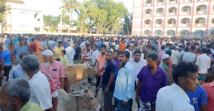 ‘জনস্বার্থে হাট দেই, কী করার আছে করো’ বললেন অধ্যক্ষ