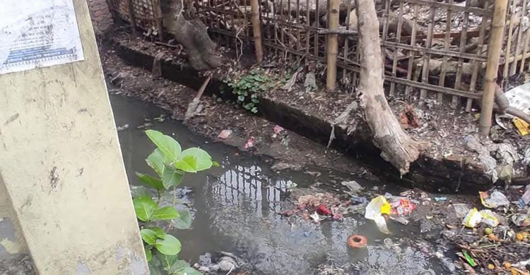 সৈয়দপুরে মশায় অতিষ্ঠ জনজীবন