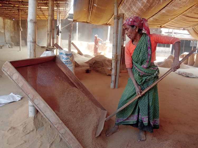 সমান শ্রম দিয়েও নারীর মজুরি পুরুষের অর্ধেক