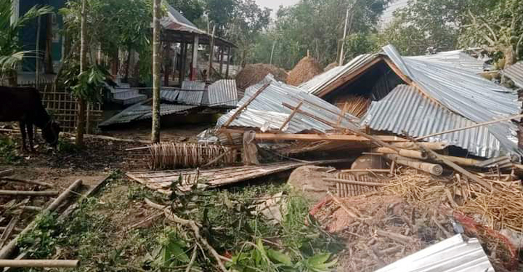 নীলফামারীতে হঠাৎ ঝড়ে লন্ডভন্ড ঘরবাড়ি