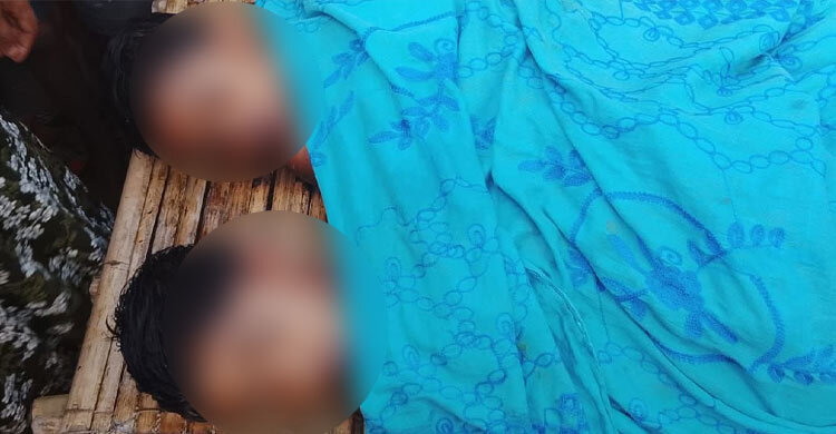 নীলফামারীতে পুকুরে ডুবে দুই শিশুর মৃত্যু