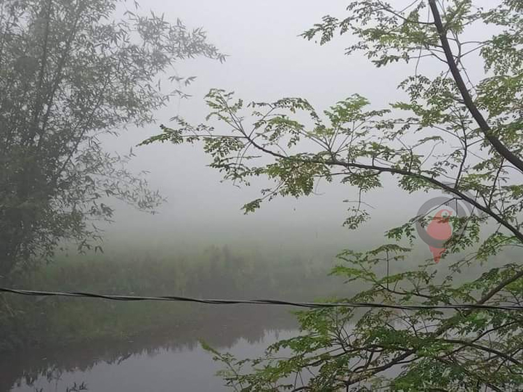 তীব্র গরমেও কুয়াশার চাদরে ঢাকা নীলফামারী