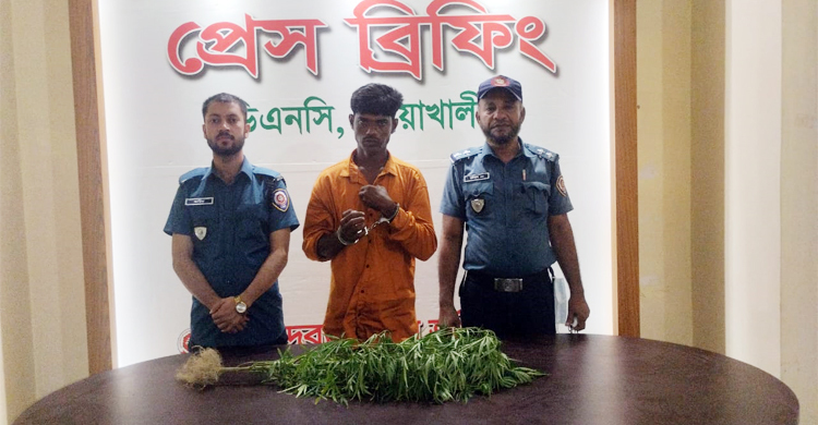 বাড়ির ছাদে গাঁজা চাষ, কেয়ারটেকার গ্রেফতার