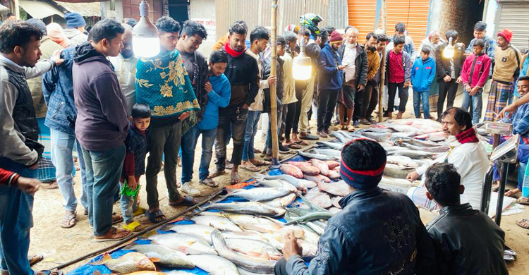 পৌষ সংক্রান্তির মেলায় ১৫ লাখে বিক্রি হলো ৫০ মণ মাছ