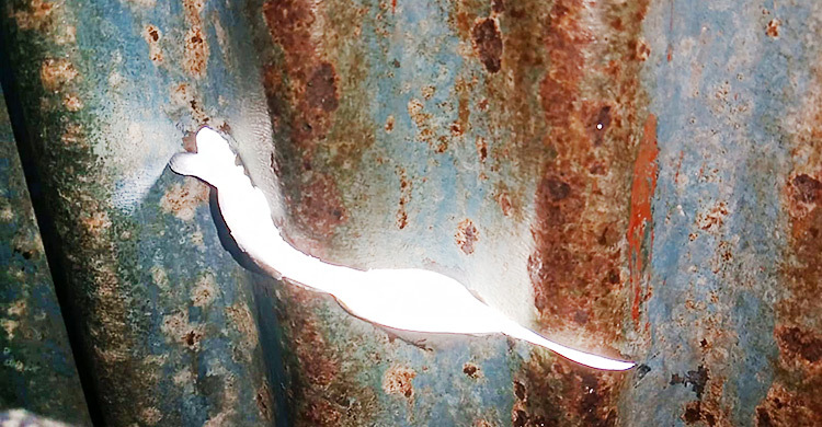 নোয়াখালীতে জামায়াত নেতার বাড়িতে হামলার অভিযোগ