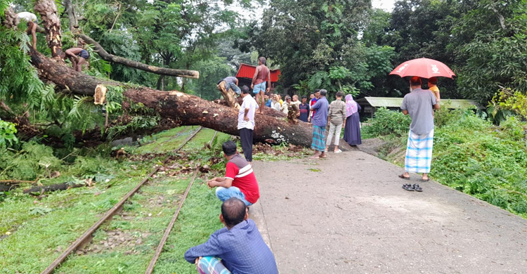 রেললাইনে পড়লো গাছ, সাড়ে ১৪ ঘণ্টা পর ট্রেন চলাচল স্বাভাবিক