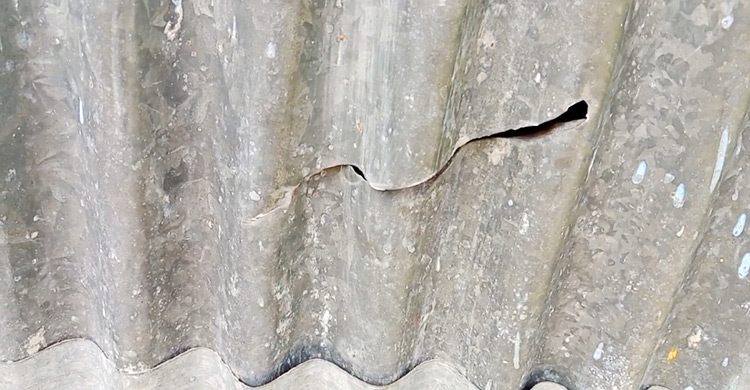 নোয়াখালীতে জামায়াত নেতার বাড়িতে হামলার অভিযোগ