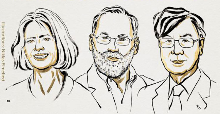 Immune breakthrough earns Nobel for US-Japanese trio