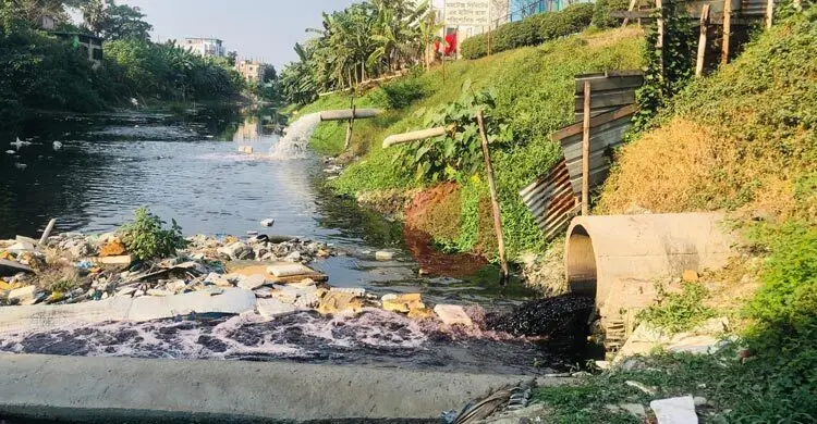 শিল্পায়নই যেন অভিশাপ হয়ে নেমে এসেছে নদীর বুকে