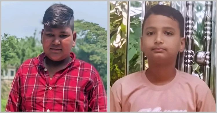 নরসিংদীতে সড়ক দুর্ঘটনায় রিকশাচালক ও যাত্রী নিহত