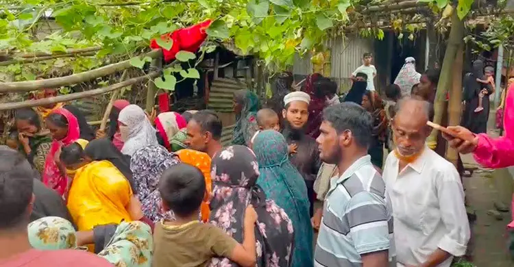 নরসিংদীতে পুকুরে ডুবে প্রাণ গেলো একই পরিবারের তিন শিশুর