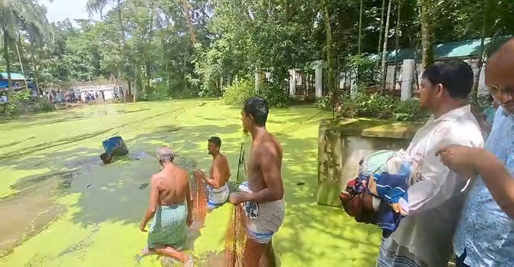 নোয়াখালীতে পুকুরে দেখা প্রাণীটি কুমির নয় গুইসাপ