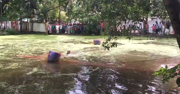 নোয়াখালীতে পুকুরে দেখা প্রাণীটি কুমির নয় গুইসাপ