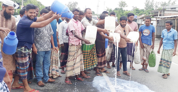 ন্যায্যমূল্য না পেয়ে সড়কে দুধ ঢেলে প্রতিবাদ খামারিদের