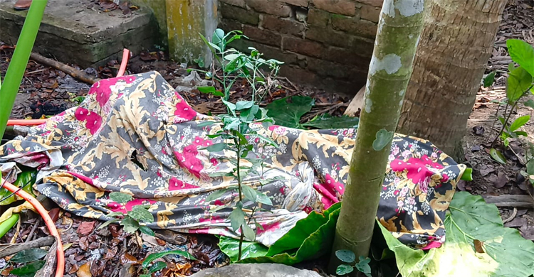 সেপটিক ট্যাংক থেকে নারীর মরদেহ উদ্ধার, গ্রেফতার ১