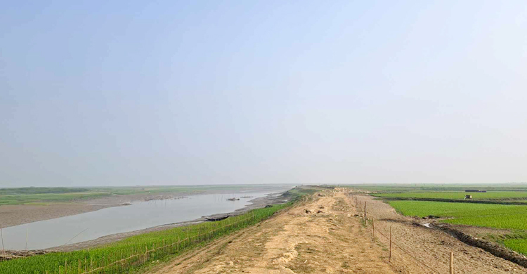 নেত্রকোনায় হাওরে ফসল রক্ষা বাঁধ সংস্কারে ধীরগতি