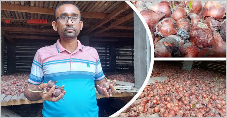 সংরক্ষণাগারে পচছে পেঁয়াজ, কৃষকের মাথায় হাত