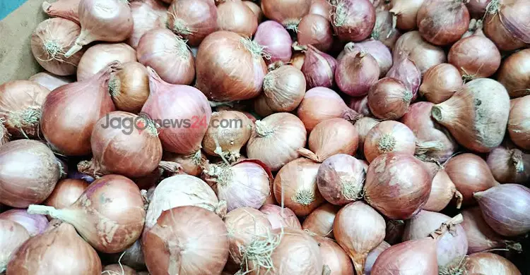 ঢাকার বাজারে পেঁয়াজের কেজি ১০০ টাকা ছাড়ালো