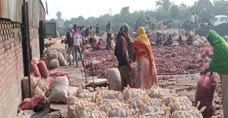 বাংলাদেশে রপ্তানি বন্ধ, সীমান্তে পচছে ৩০ হাজার টন ভারতীয় পেঁয়াজ