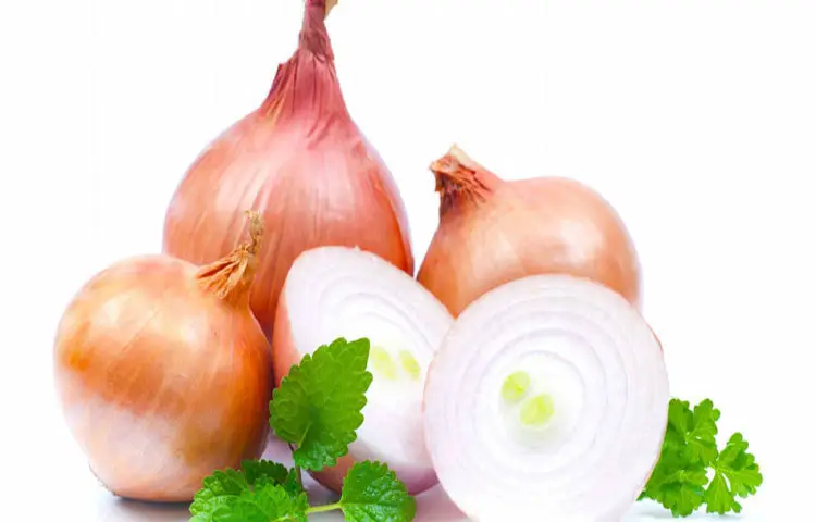 অল্প সময়ে ব্লাড সুগার নিয়ন্ত্রণ করে পেঁয়াজ
