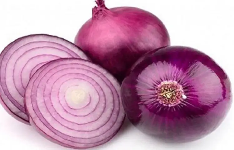 ফ্রিজে রাখবেন না যেসব খাবার