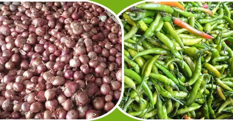 রংপুরে দাম কমেছে পেঁয়াজ-কাঁচামরিচের