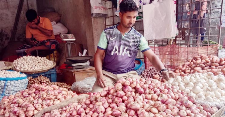 রাজশাহীতে রেকর্ড ফলনেও পেঁয়াজ চাষে লোকসান